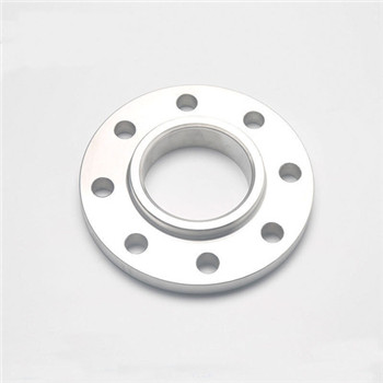DN15-1200 Stainless Steel Ss A182 F304 Swrf 316L 304 150lb Sled Weld Flat Flange Cdfl887 